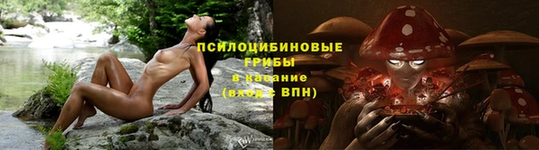 прущая мука Алзамай