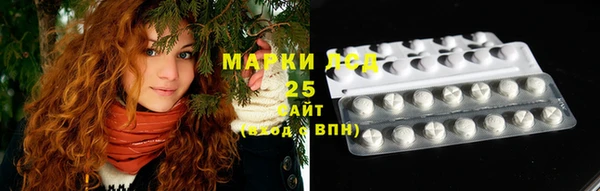 гашик Алексеевка