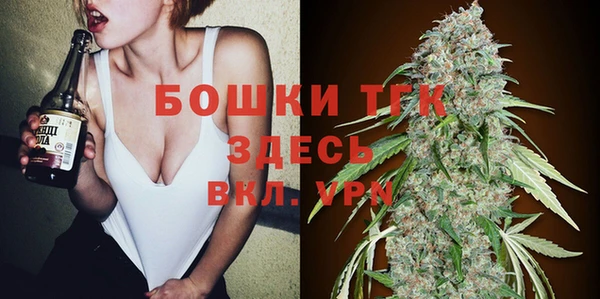 гашик Алексеевка