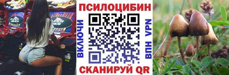 гидра ссылки  Мензелинск  Галлюциногенные грибы MAGIC MUSHROOMS 